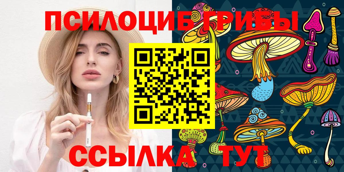 Псилоцибиновые грибы Magic Shrooms  Псилоцибиновые грибы мицелий  где продают   Вход с VPN  Можга 